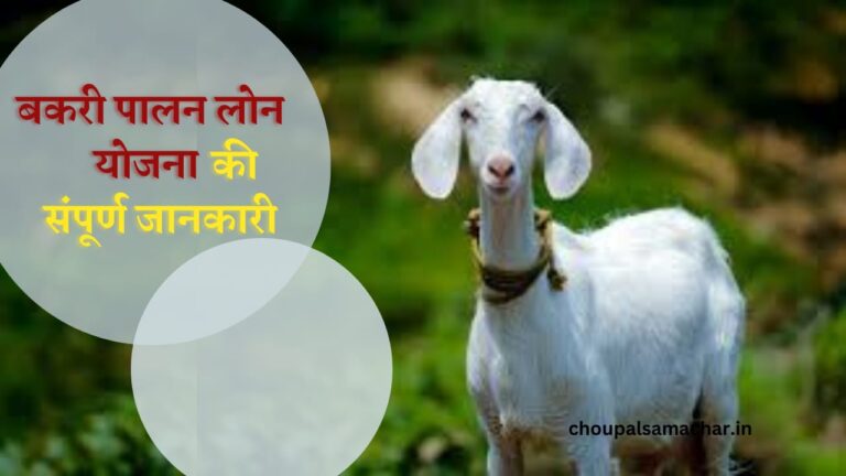 Bakri Palan loan Yojana MP 2023