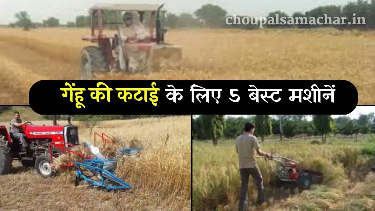 Best 5 wheat harvesting machine