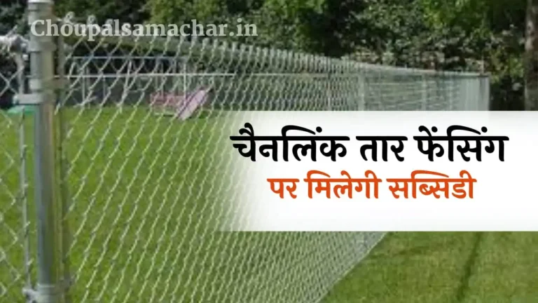 MP Chainlink fencing Subsidy Application