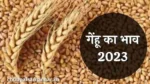 Wheat price in 2023