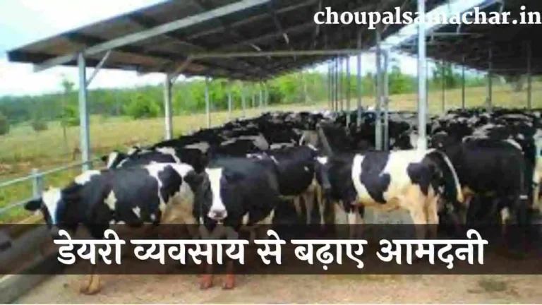 Dairy Farm Subsidy Scheme 2023