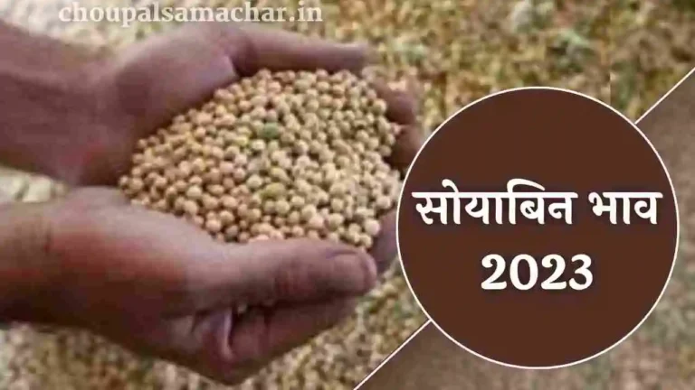 Soybean price 2023