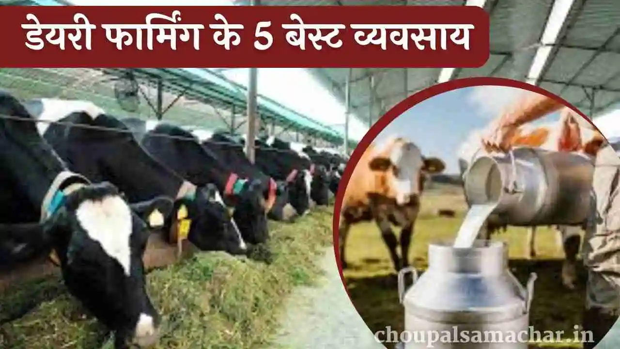 Dairy Farming Buisness Idea 2023