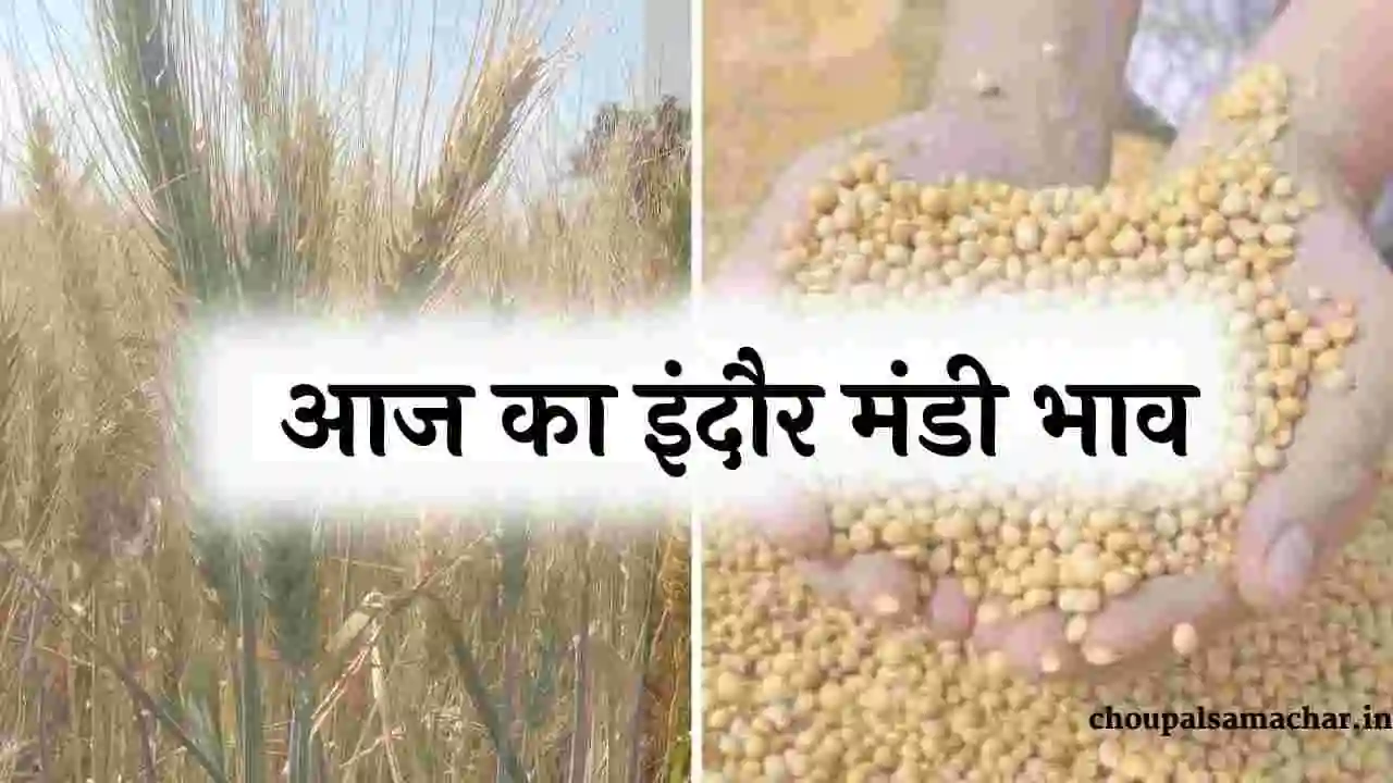 Indore Mandi Soybean ka Bhav