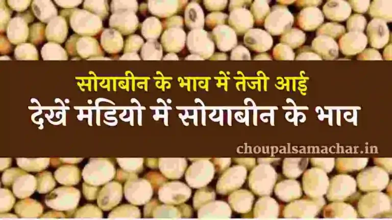 Aaj ka soyabean bhav