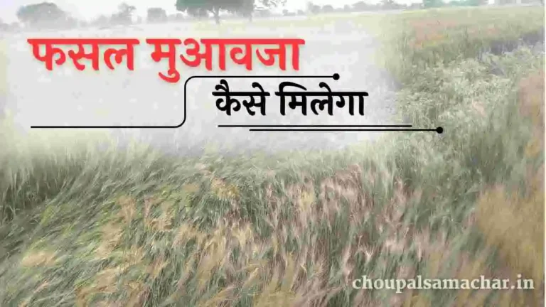 Fasal Muaawja Rahat Rashi Yojana