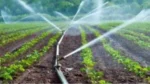 Rajasthan Krishi Sinchai Subsidy Yojana
