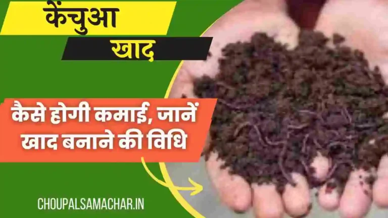 Benefits & Uses of Vermi Compost