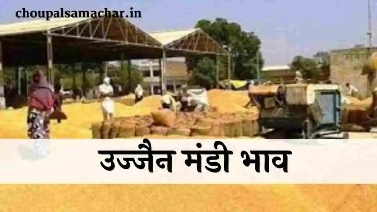 Ujjain Mandi Genhu Bhav