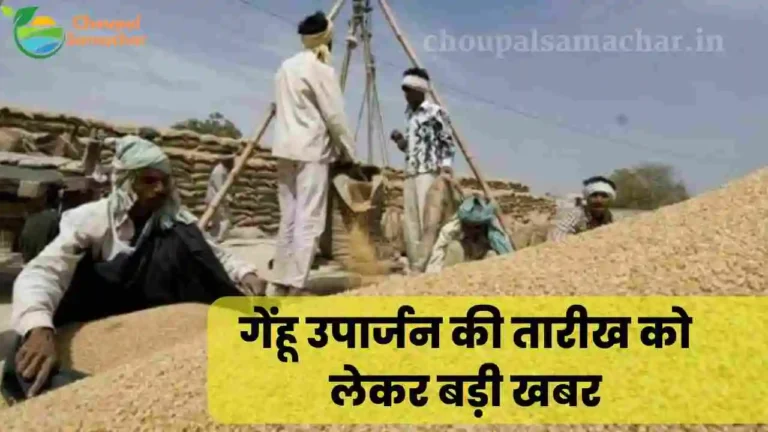 MSP Genhu kharidi new Date