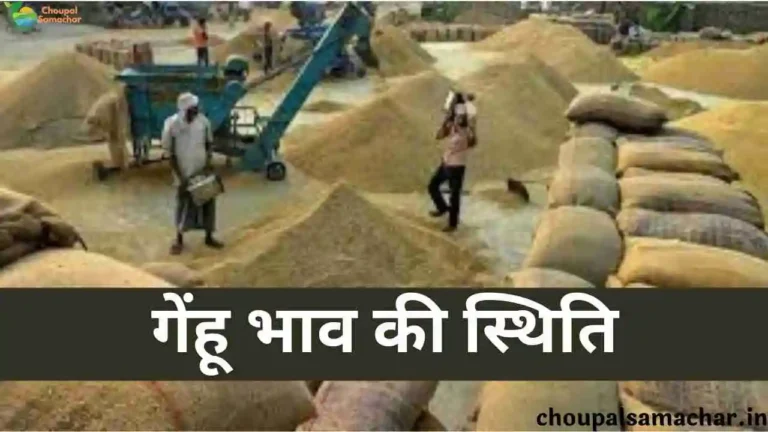 Wheat price in Mandi