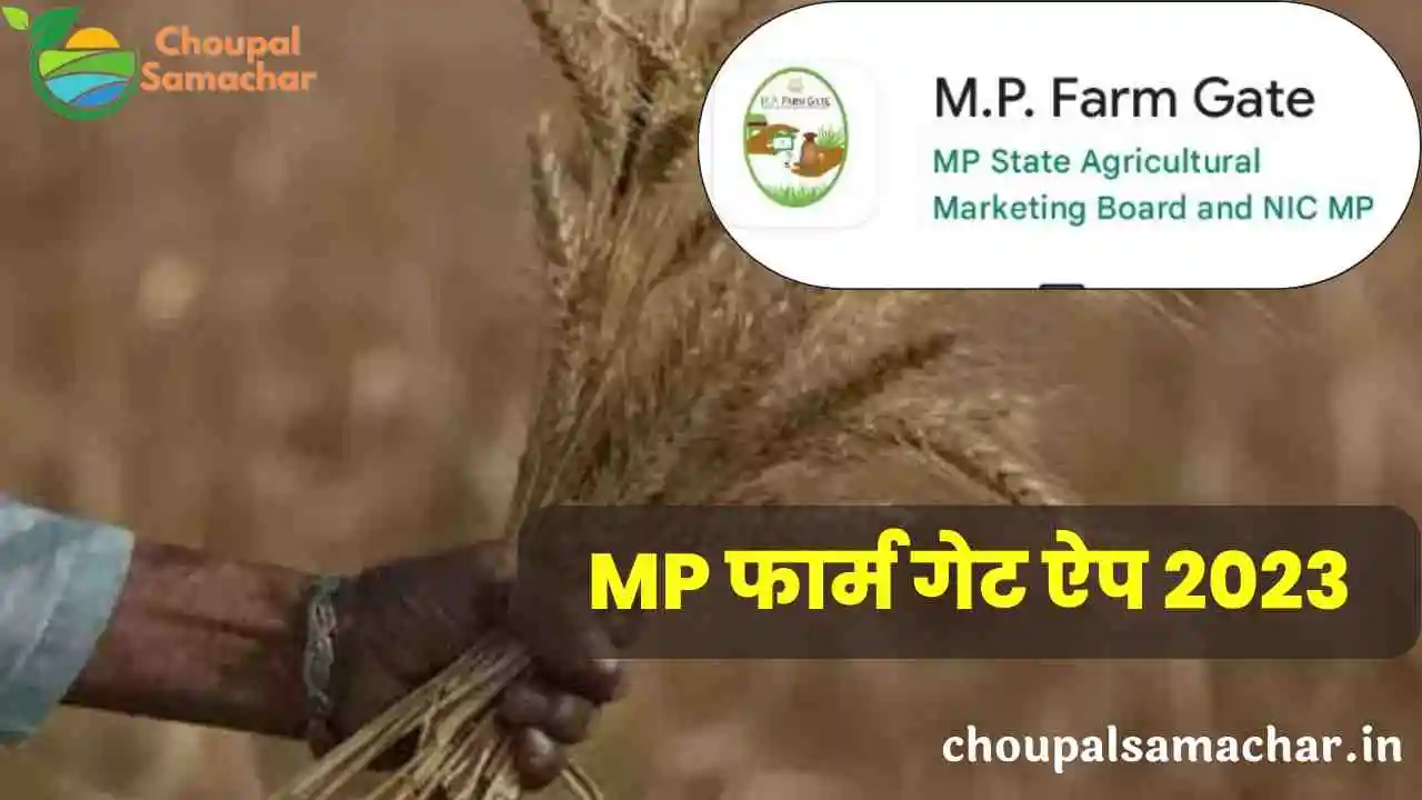 MP farm gate app 2023