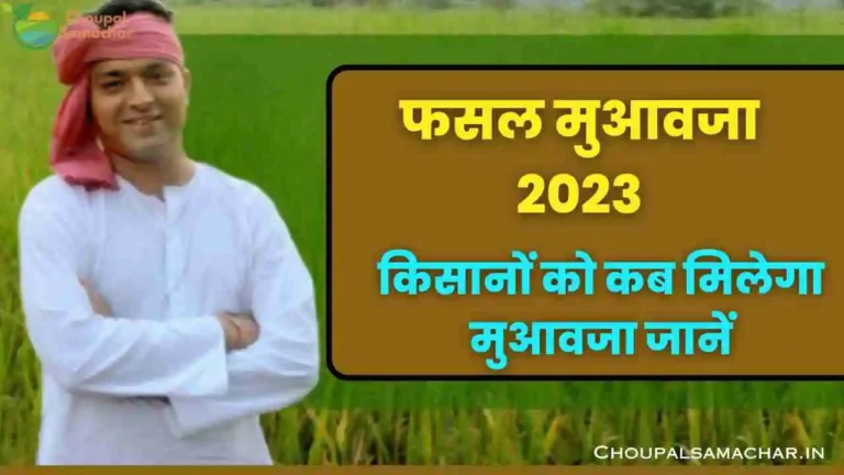 Fasal muaawja kab milega 2023