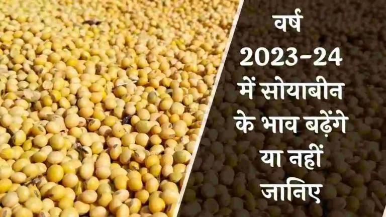 Soybean rate 2023