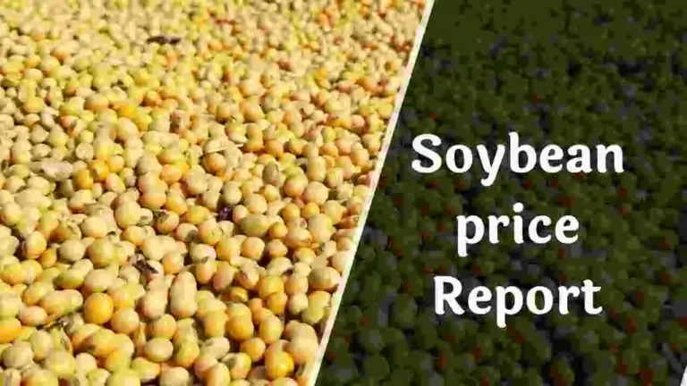 Soybean price report