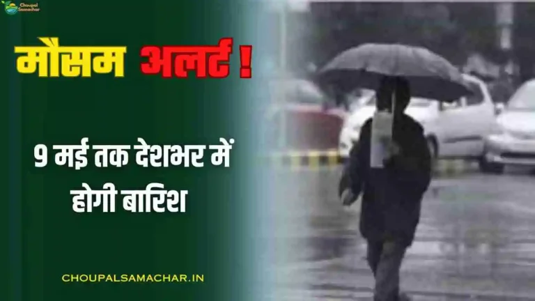 IMD issued heavy rain alert