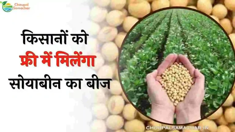 Free Soybean Beej Yojana 2023