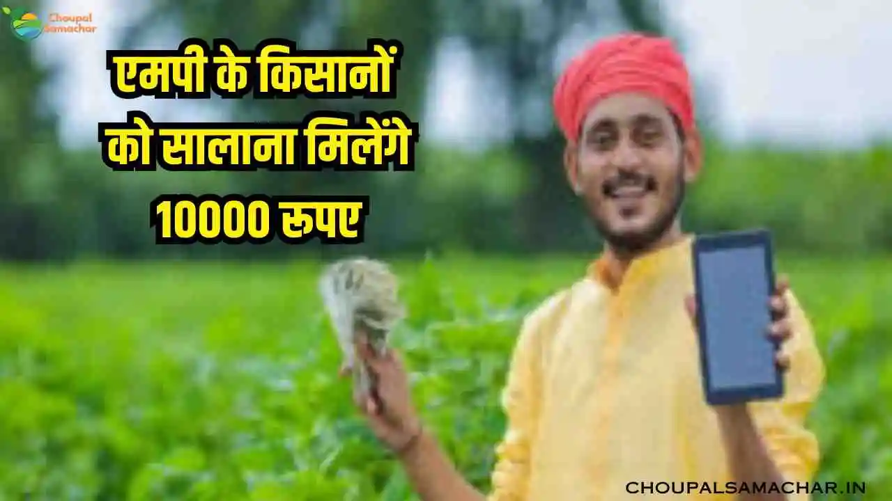 MP farmer scheme