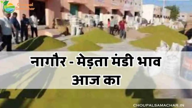 Nagaur medta Mandi ke bhav