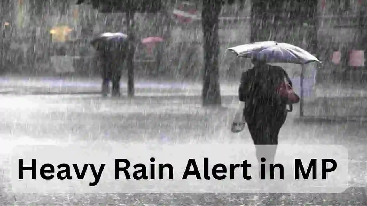 Heavy rain alert in mp