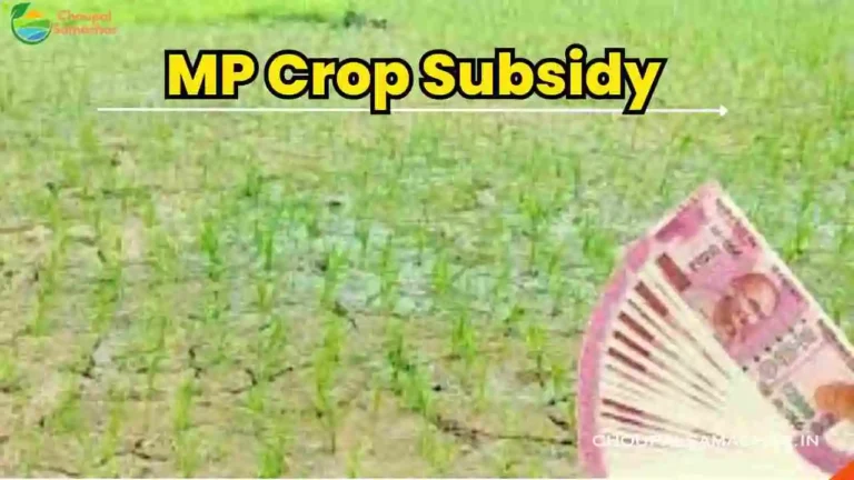 MP Crop Subsidy