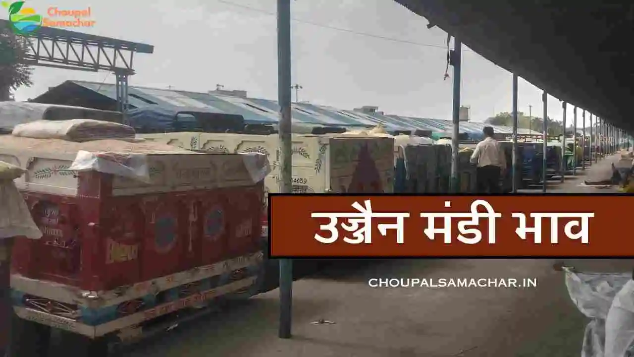 Ujjain mandi bhav 7 July