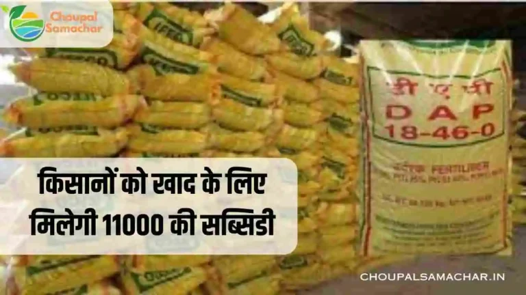 PM Kisan Khad Yojana