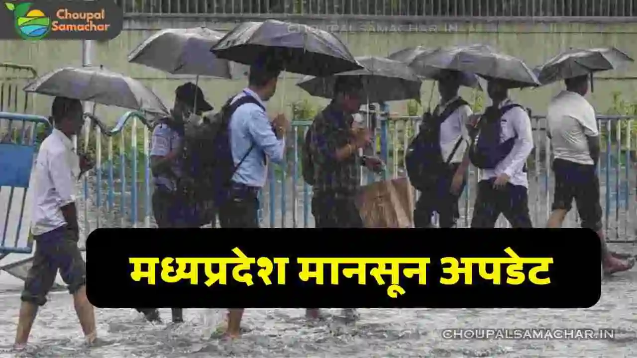 Madhya Pradesh Monsoon Update