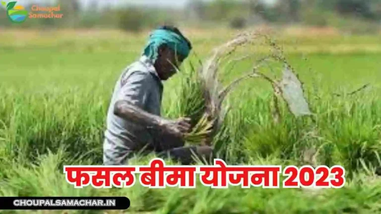 Fasal Bima Yojana 2023