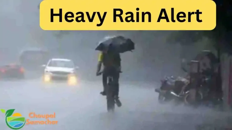 Heavy Rain Alert in MP‌