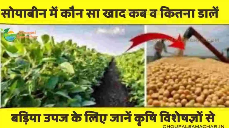 Soybean ki kheti