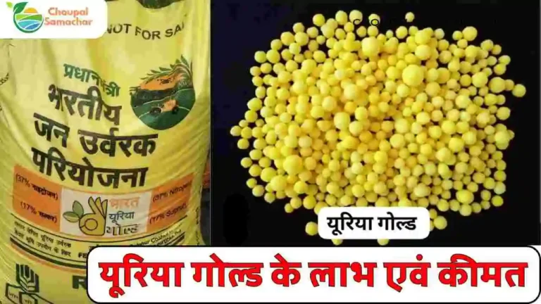 Urea gold fertilizer