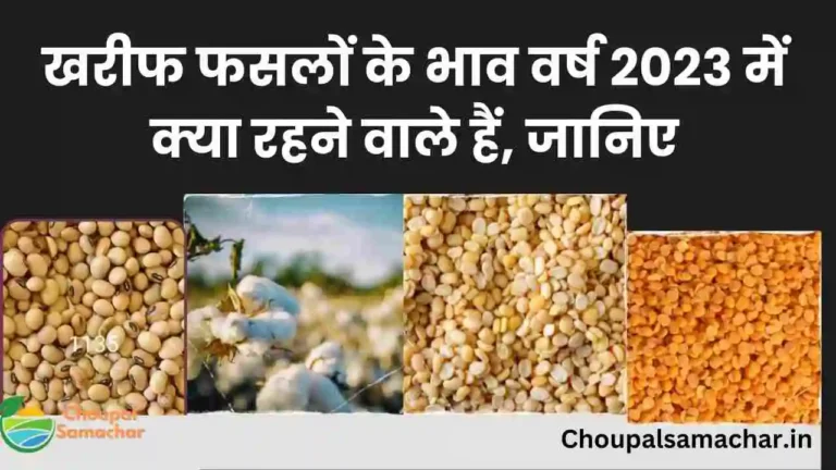 kharif crops prices