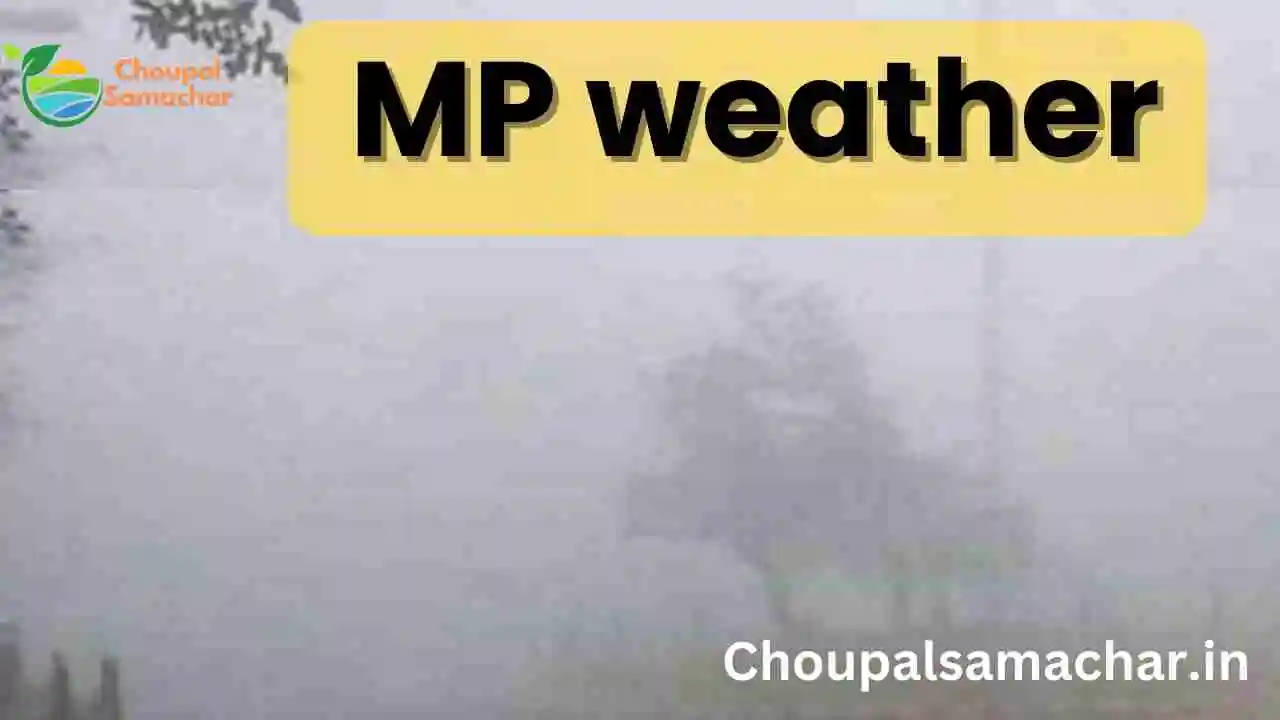 MP weather