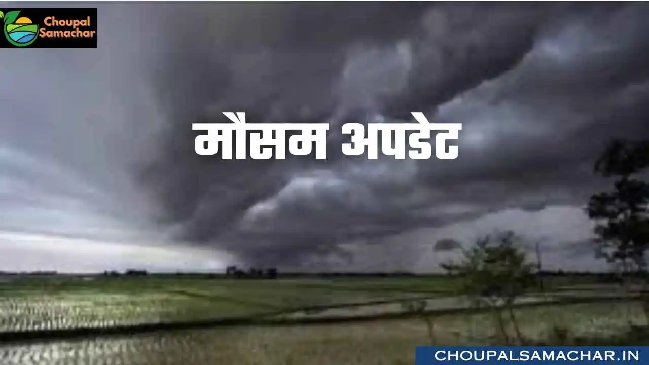 MP weather news