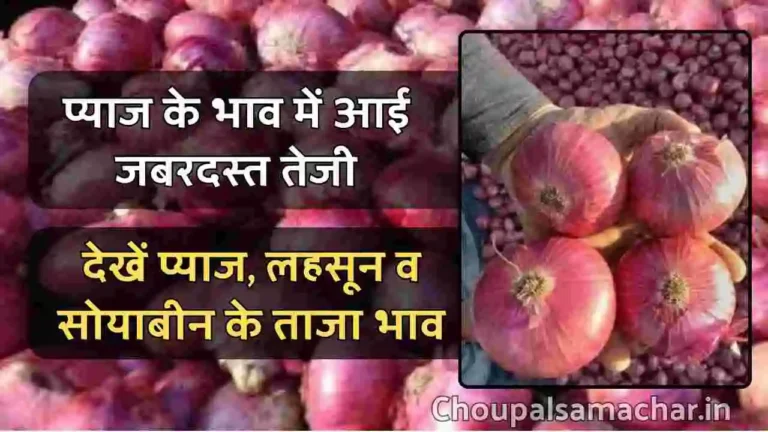 Indore Mandi Pyaj Bhav