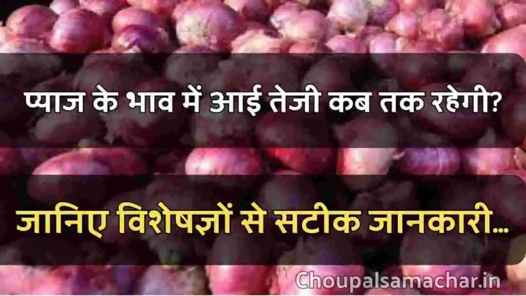 Onion prices