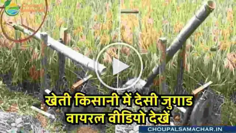 Krishi jugaad viral video