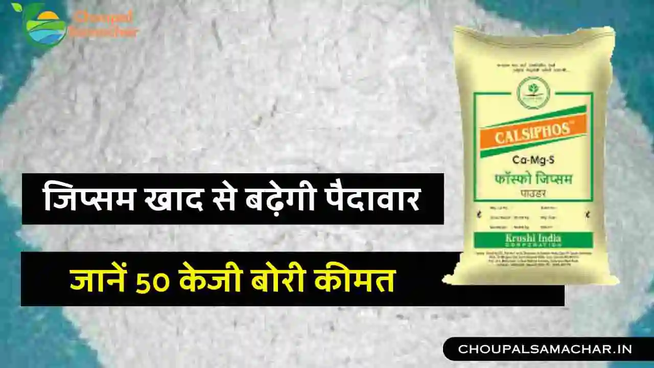 Gypsum fertilizer 50 KG price