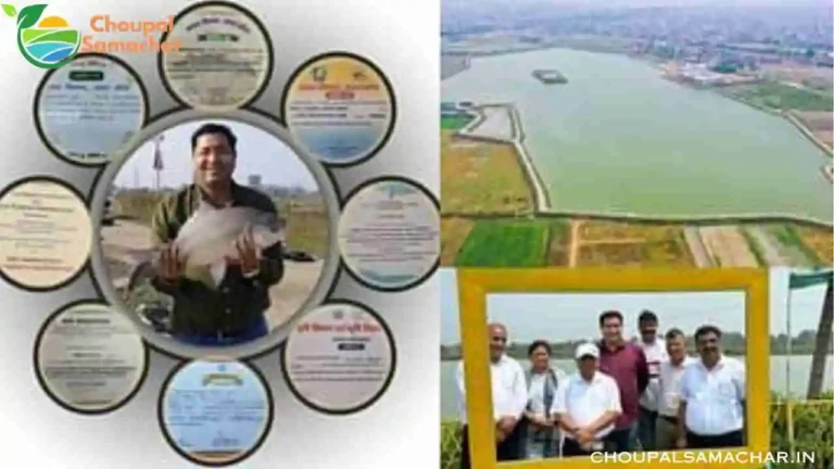 Farmer Success Story