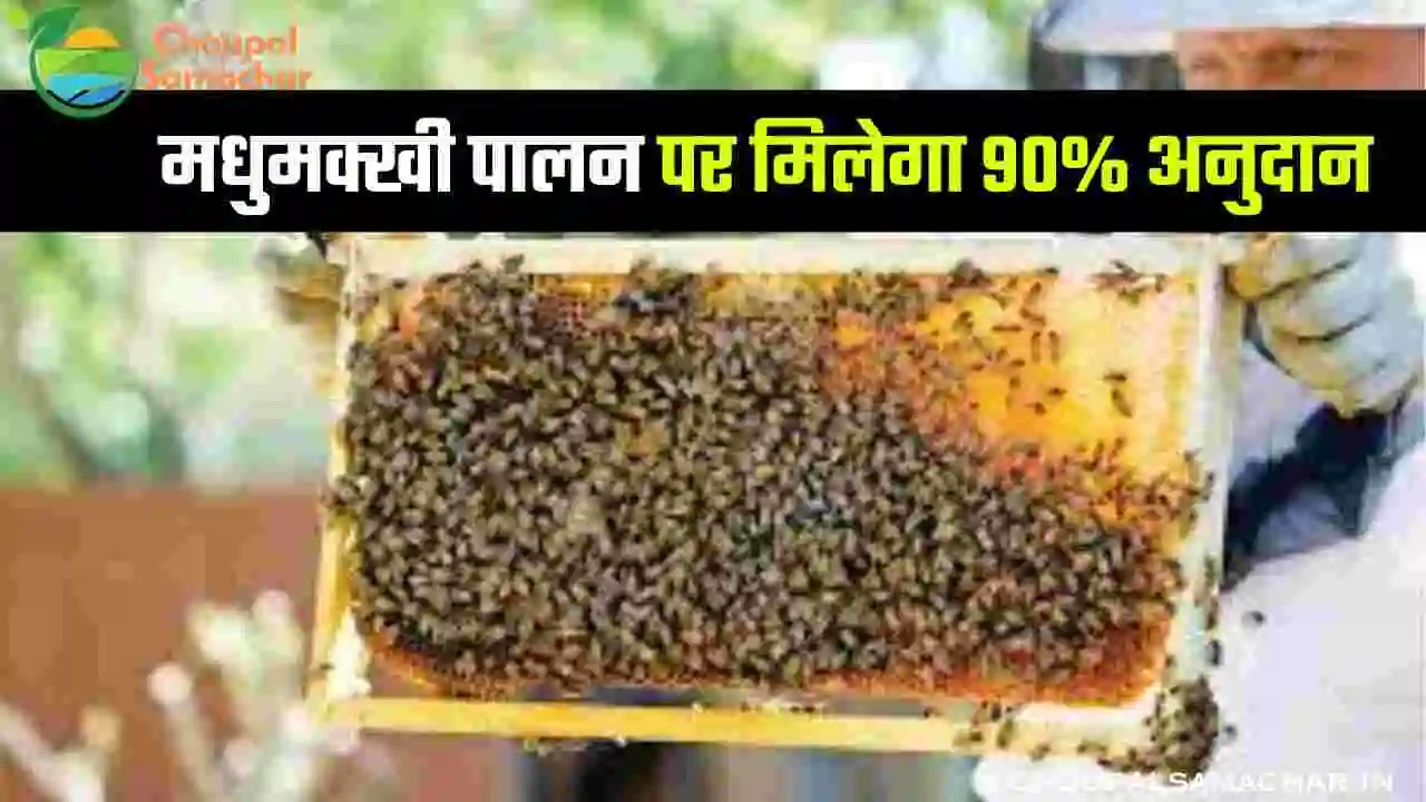 Subsidy on beekeeping
