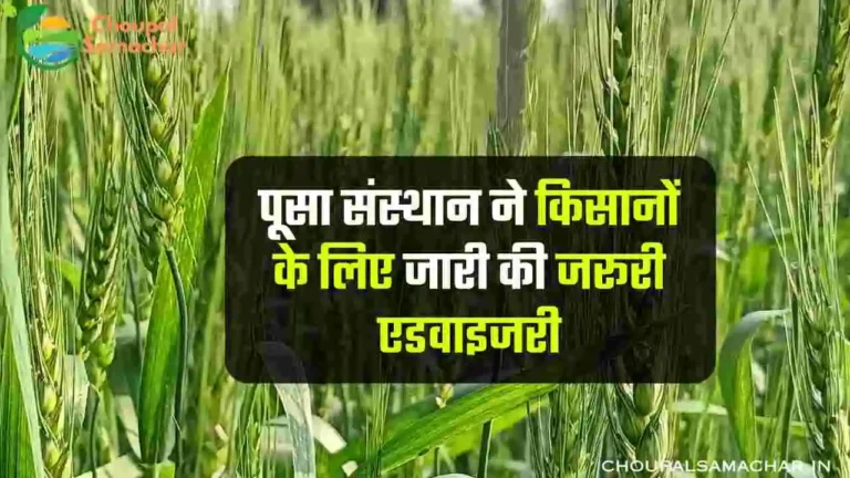 Rabi Crop Advisory