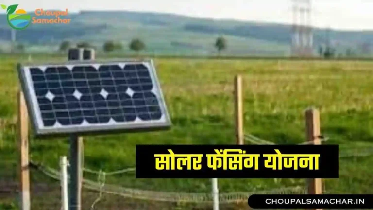 Solar fencing Yojana