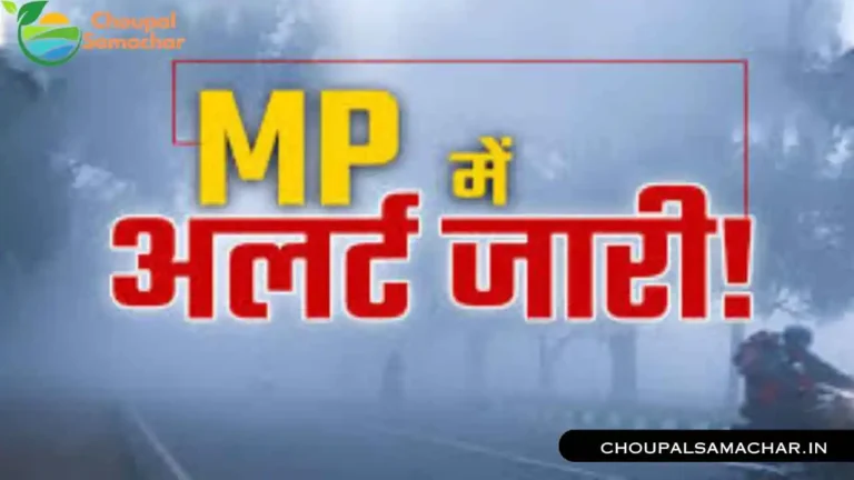 MP Weather Forecast