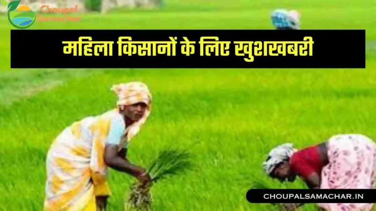 PM Kisan Scheme Update