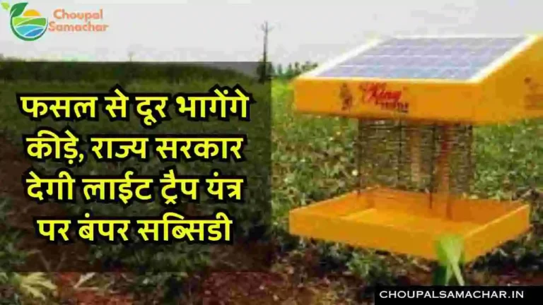 Subsidy on Light trap