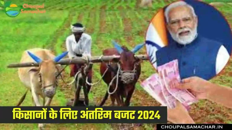 Budget 2024 for farmers