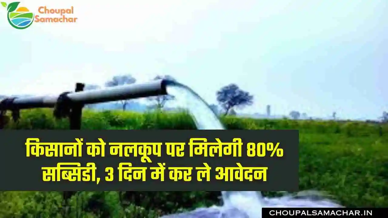 Subsidy on irrigation