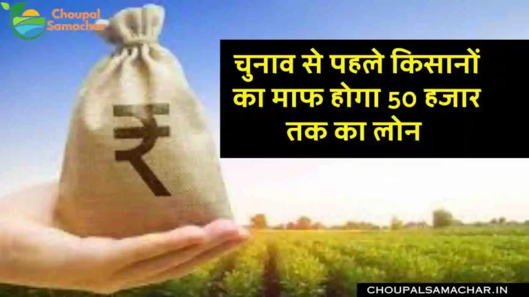 Krishi loan Mafi scheme