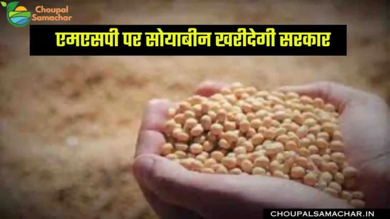 Soybean ke Bhav